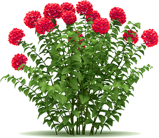 La Salle Landscaping Team and Fleet